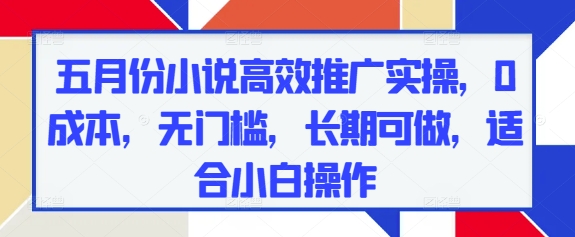 五月份小说高效推广实操，0成本，无门槛，长期可做，适合小白操作-梵摄网创