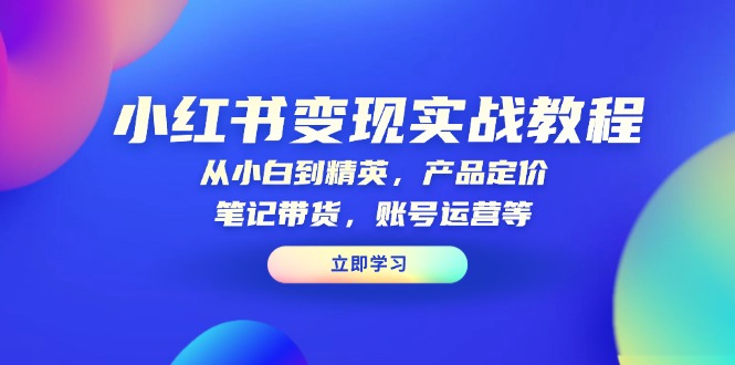 （13923期）小红书变现实战教程：从小白到精英，产品定价，笔记带货，账号运营等-梵摄网创