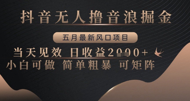 抖音无人撸音浪掘金，五月最新风口项目，当天见效，日收益多张，小白可做简单粗暴可矩阵【揭秘】-梵摄网创