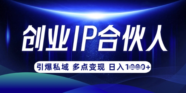 云帆·创业ip合伙人打造3.0，从0到1教你做网创，实现月入过W-梵摄网创
