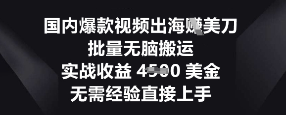 国内爆款视频出海挣美刀，批量无脑搬运，实战收益4.5k，无需经验直接上手-梵摄网创