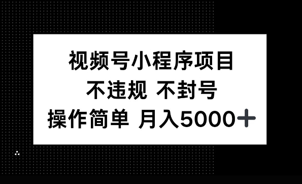 视频号小程序项目，不违规不封号，操作简单 月入5000+-梵摄网创