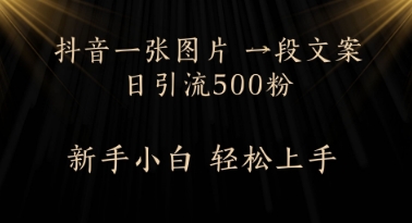 每天2分钟，抖音一张图片 一段文案日引流500粉-梵摄网创
