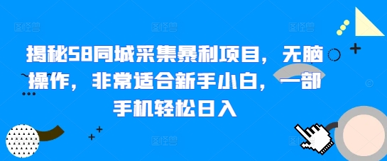 揭秘58同城采集暴利项目，无脑操作，非常适合新手小白，一部手机轻松日入-梵摄网创