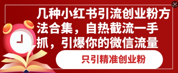 几种小红书引流创业粉方法合集，自热截流一手抓，引爆你的微信流量-梵摄网创