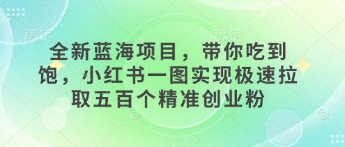 全新蓝海项目，带你吃到饱，小红书一图实现极速拉取五百个精准创业粉-梵摄网创