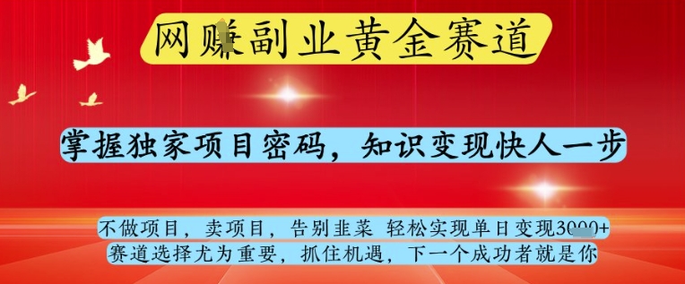 网创副业黄全赛道，掌握独家项目密码，知识变现快人一步，告别韭菜轻松实现单日变现1k+【揭秘】-梵摄网创