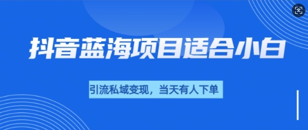 抖音蓝海小赛道私域变现项目，单价9.9单天变现100+，实操玩法分享给你-梵摄网创