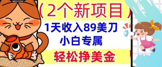 2个新项目，轻松挣美金， 1天收入89美刀，小白专属，干货分享-梵摄网创