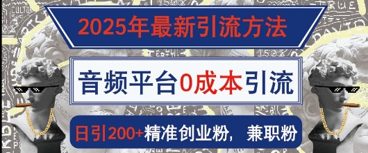 2025年最新引流方法，音频平台0成本引流，日引200+精准创业粉-梵摄网创