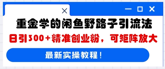重金学的闲鱼野路子引流法，日引300+精准创业粉，可矩阵放大-梵摄网创
