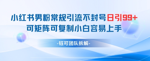 小红书男粉常规引流不封号日引99+变现简单 可矩阵可复制小白容易上手-梵摄网创