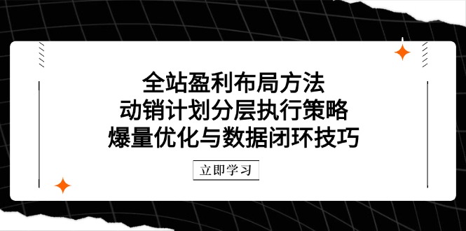 （14698期）全站盈利布局方法：动销计划分层执行策略，爆量优化与数据闭环技巧-梵摄网创