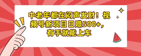 中老年都在闷声发财，视频号新项目日入多张，有手就能上车-梵摄网创