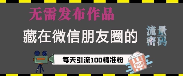 藏在微信朋友圈的流量密码，无需发布作品，单日引流100+精准创业粉【揭秘】-梵摄网创