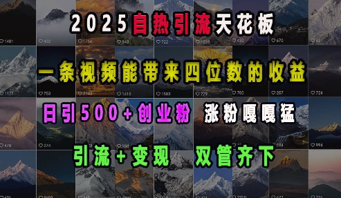 2025自热引流天花板，一条视频能带来四位数的收益，引流+变现双管齐下，日引500+创业粉，涨粉嘎嘎猛-梵摄网创