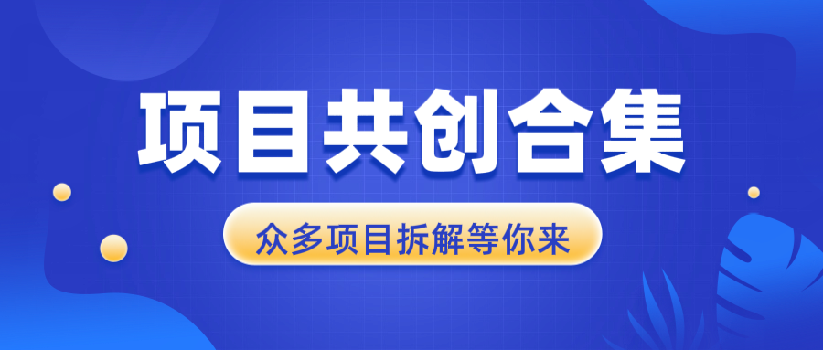 （13778期）项目共创合集，从0-1全过程拆解，让你迅速找到适合自已的项目-梵摄网创