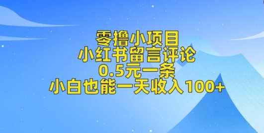 零撸小项目，小红书留言评论，0.5元一条，小白也能一天收入100+-梵摄网创