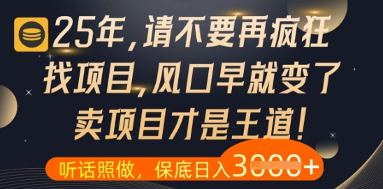 什么？25年你还在疯狂找项目做，醒醒吧，看完这些你全都懂了【揭秘】-梵摄网创