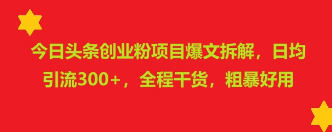 今日头条创业粉项目爆文拆解，日均引流300+，全程干货，粗暴好用-梵摄网创