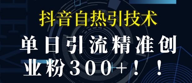 抖音自热引流，单日引流精准创业粉300+-梵摄网创