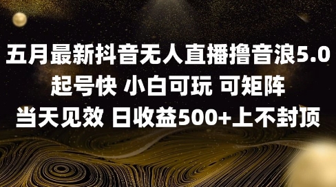 2025五月最新无人直播撸音浪单日产出5张+实操教程【揭秘】-梵摄网创