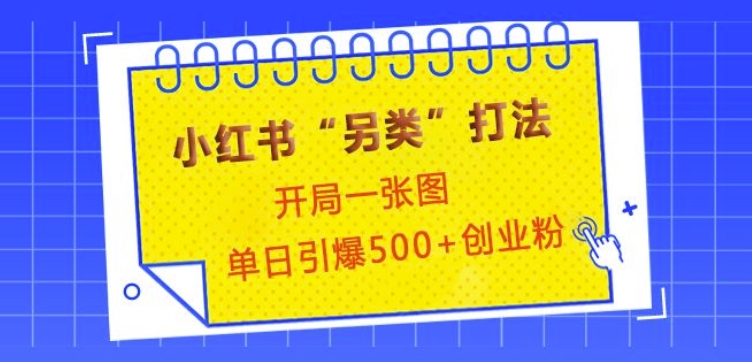 小红书“另类”打法，开局一张图，单日引爆500+精准创业粉【揭秘】-梵摄网创