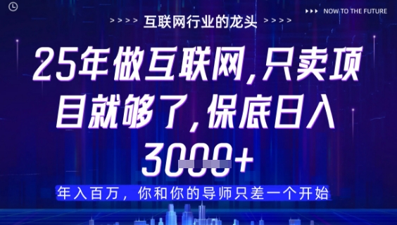 什么！25年你还在找项目做？风口早就变了，卖项目才是稳挣不赔【揭秘】-梵摄网创