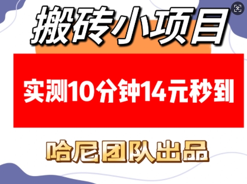 搬砖小项目，实测10分钟14元秒到，每天稳定几张(赠送必看稳定)-梵摄网创