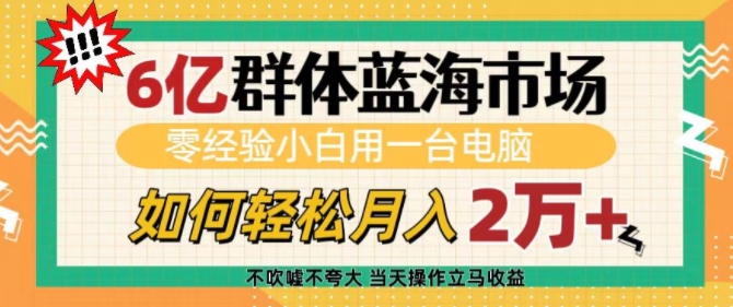 6亿群体蓝海市场，零经验小白用一台电脑，如何轻松月入过w【揭秘】-梵摄网创