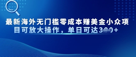 最新海外无门槛美金小众项目可放大操作，单日可达3张-梵摄网创
