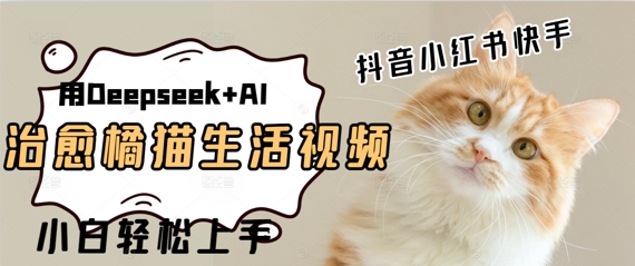 疯狂火爆，用Deepseek+AI做治愈橘猫系列视频，小白轻松制作+快速拿到结果-梵摄网创