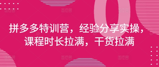 拼多多特训营，经验分享实操，课程时长拉满，干货拉满(更新25年4月)-梵摄网创
