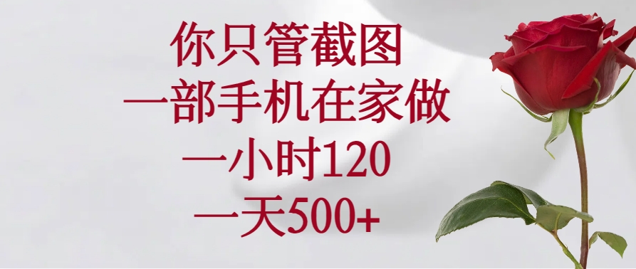 （14248期）你只管截图，一部手机在家做，一小时120，一天500+-梵摄网创