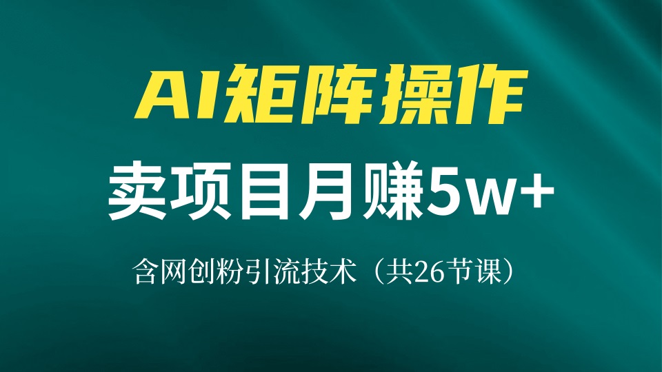 网创IP打造课，借助AI卖项目月赚5万+，含引流技术(共26节课-梵摄网创