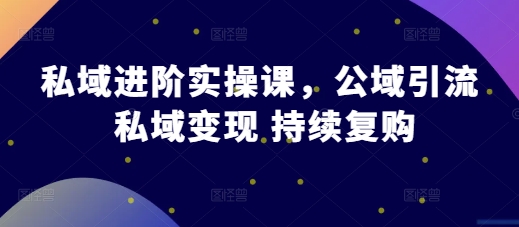 私域进阶实操课，公域引流 私域变现 持续复购-梵摄网创