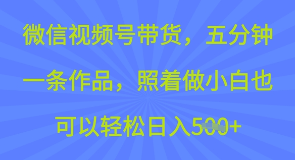 微信视频号带货，五分钟一条作品，照着做小白也可以轻松日入5张-梵摄网创