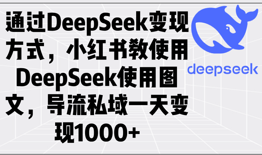 （14179期）通过DeepSeek变现方式，小红书教使用DeepSeek图文，导流私域一天变现1000+-梵摄网创
