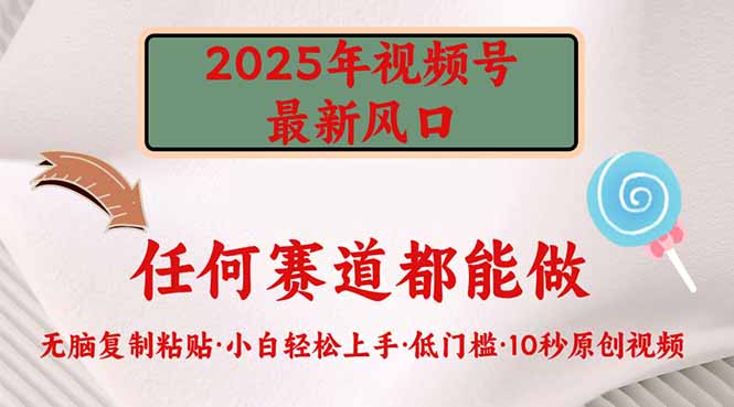（14453期）2025年视频号新风口，低门槛只需要无脑执行-梵摄网创