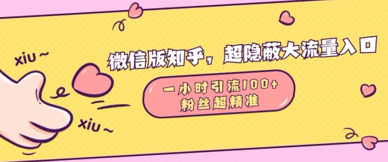 微信版知乎，超隐蔽流量入口1小时引流100人，粉丝质量超高【揭秘】-梵摄网创