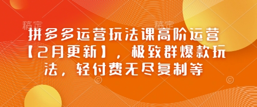 拼多多运营玩法课高阶运营【2月更新】，极致群爆款玩法，轻付费无尽复制等-梵摄网创